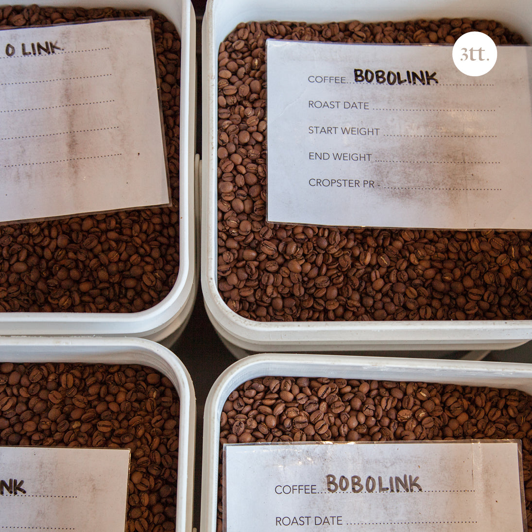 Square One Coffee Roasters - Back To Square One