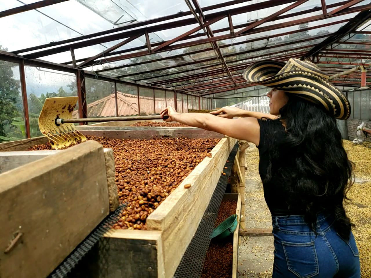 Cool Hand Coffee – Collaborating with Colombia.