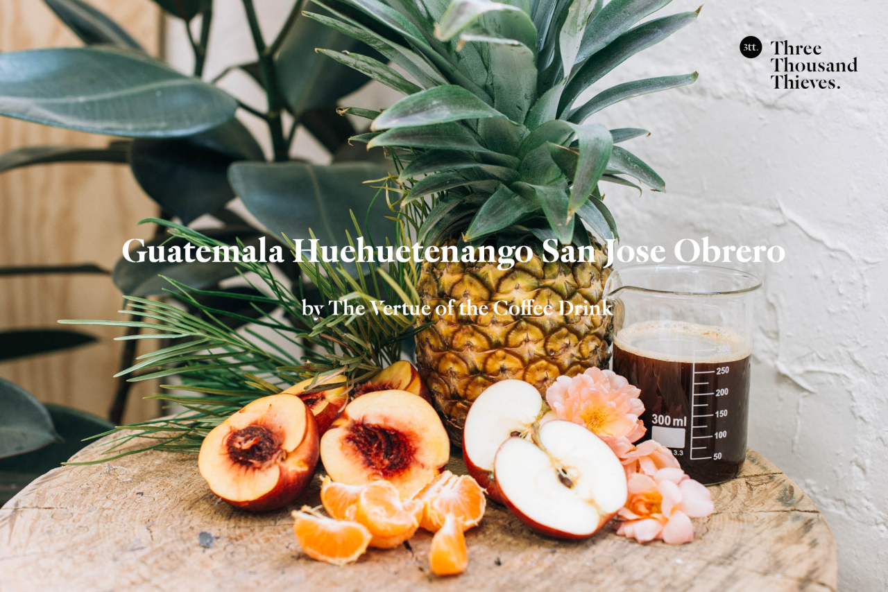 Guatemala Huehuetenango San Jose Obrero by The Vertue of the Coffee Drink for March 2015 - Melbourne’s Hidden Flavour
