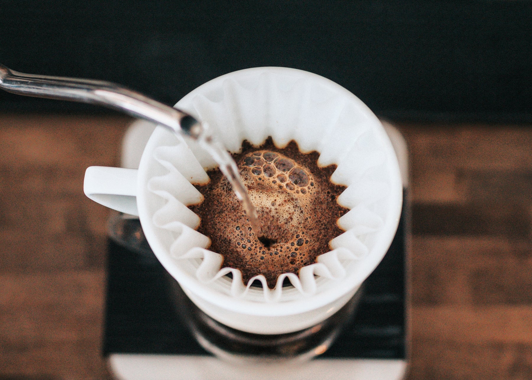 Brew Guide: Coffee Freshness