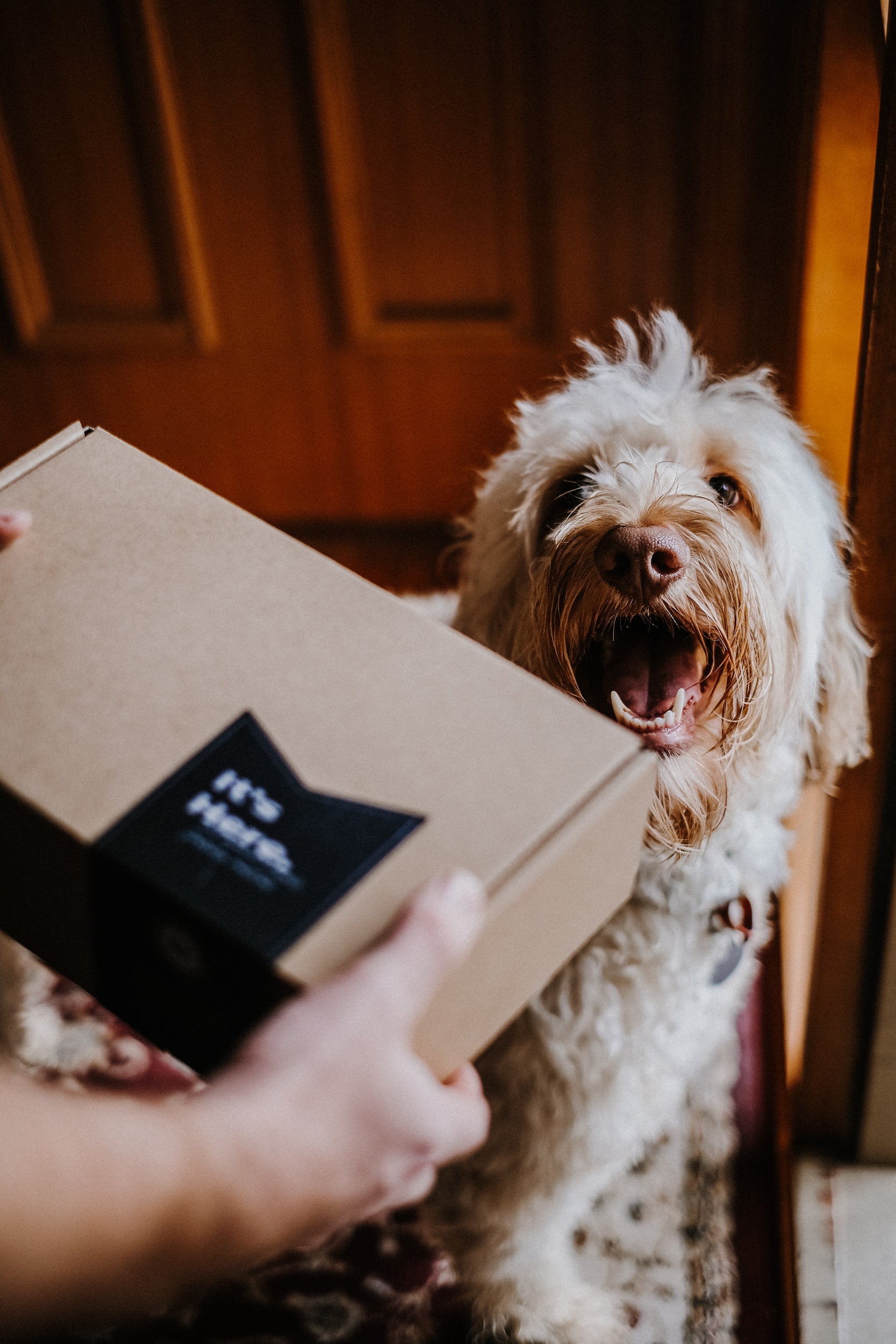 Coffee Subscription